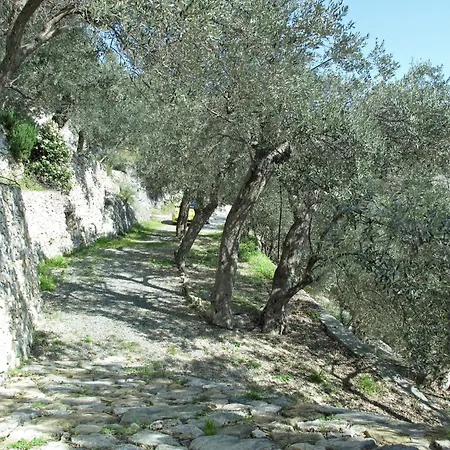 Francesca - Vgo210 By Interhome *